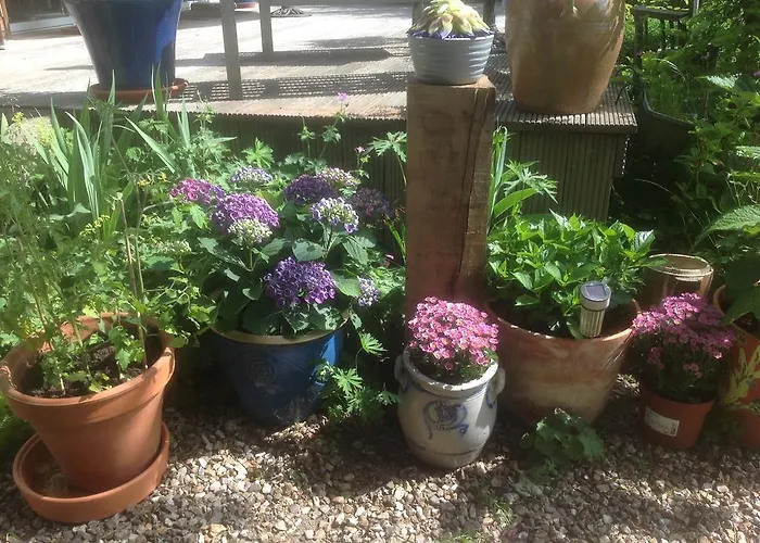 Au Fond Du Jardin Maison D\'Hotes
